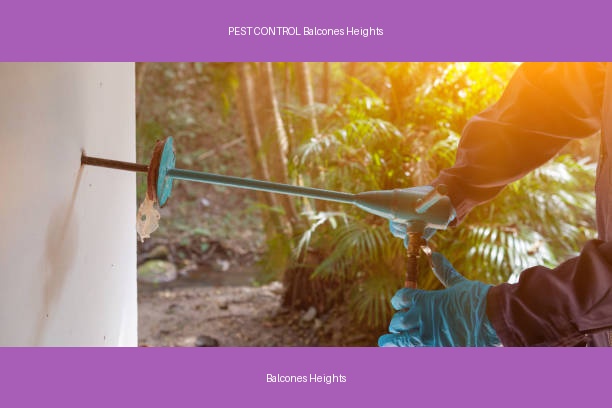 PEST CONTROL Balcones Heights